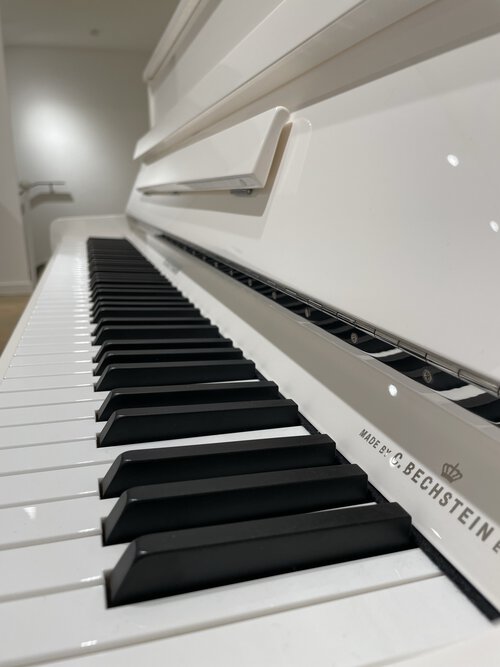 IMG_1956_Im_Pianohaus_van_Bremen_Dortmund.JPEG