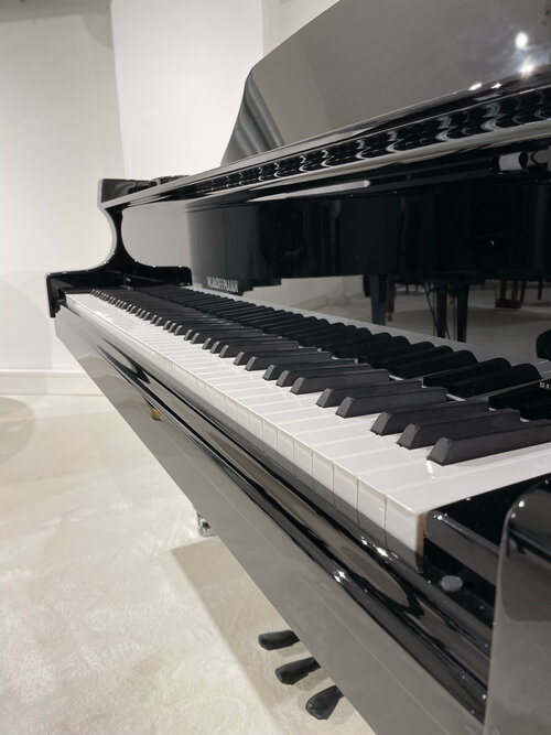 IMG_1908_Im-Pianohaus_van_Bremen_Dortmund.jpg