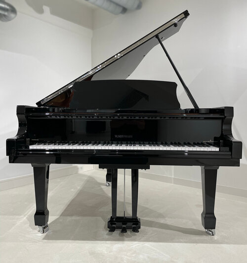IMG_1907_Im-Pianohaus_van_Bremen_Dortmund.jpg