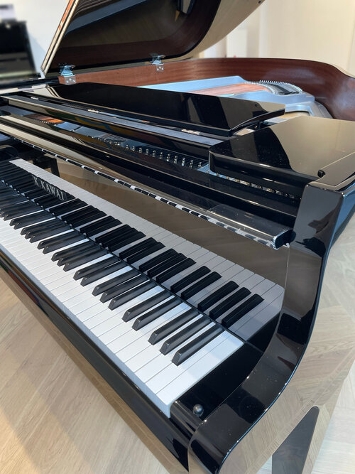 IMG_2009_im_Pianohaus_van_Bremen_Dortmund.jpg